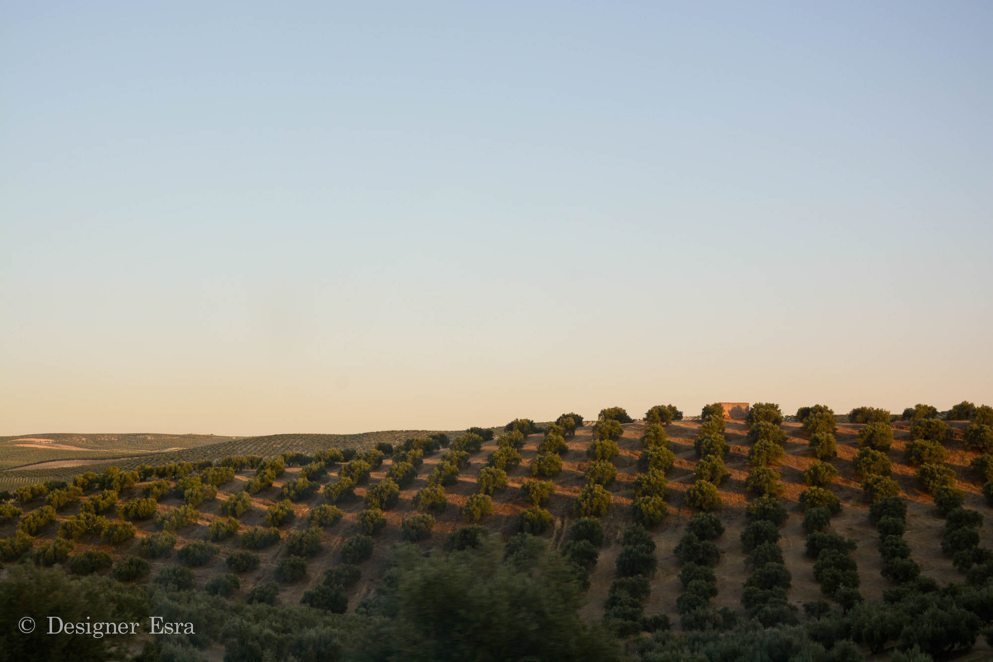 Drive from Cordoba to Granada