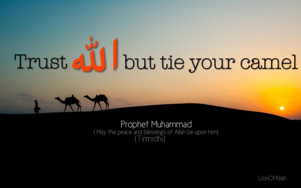 Trust Allah but tie your camel first