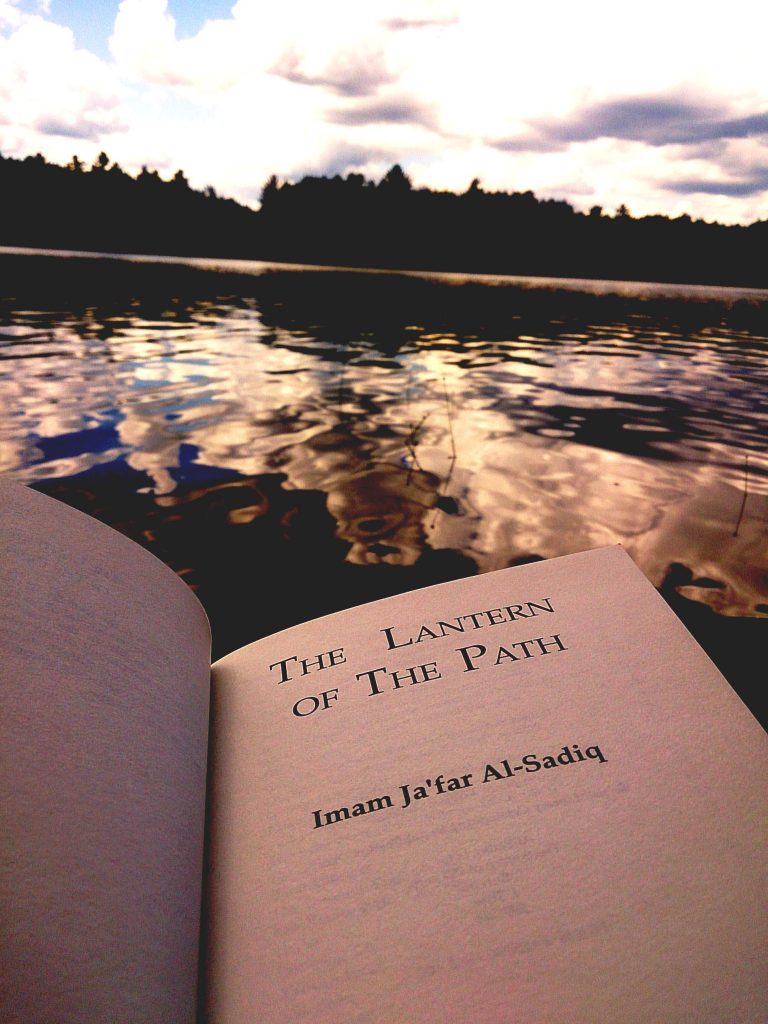 Reading by the lake