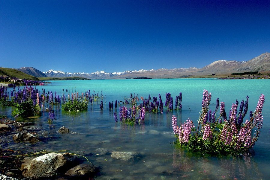 1-new-zealand-january-best-countries-to-visit